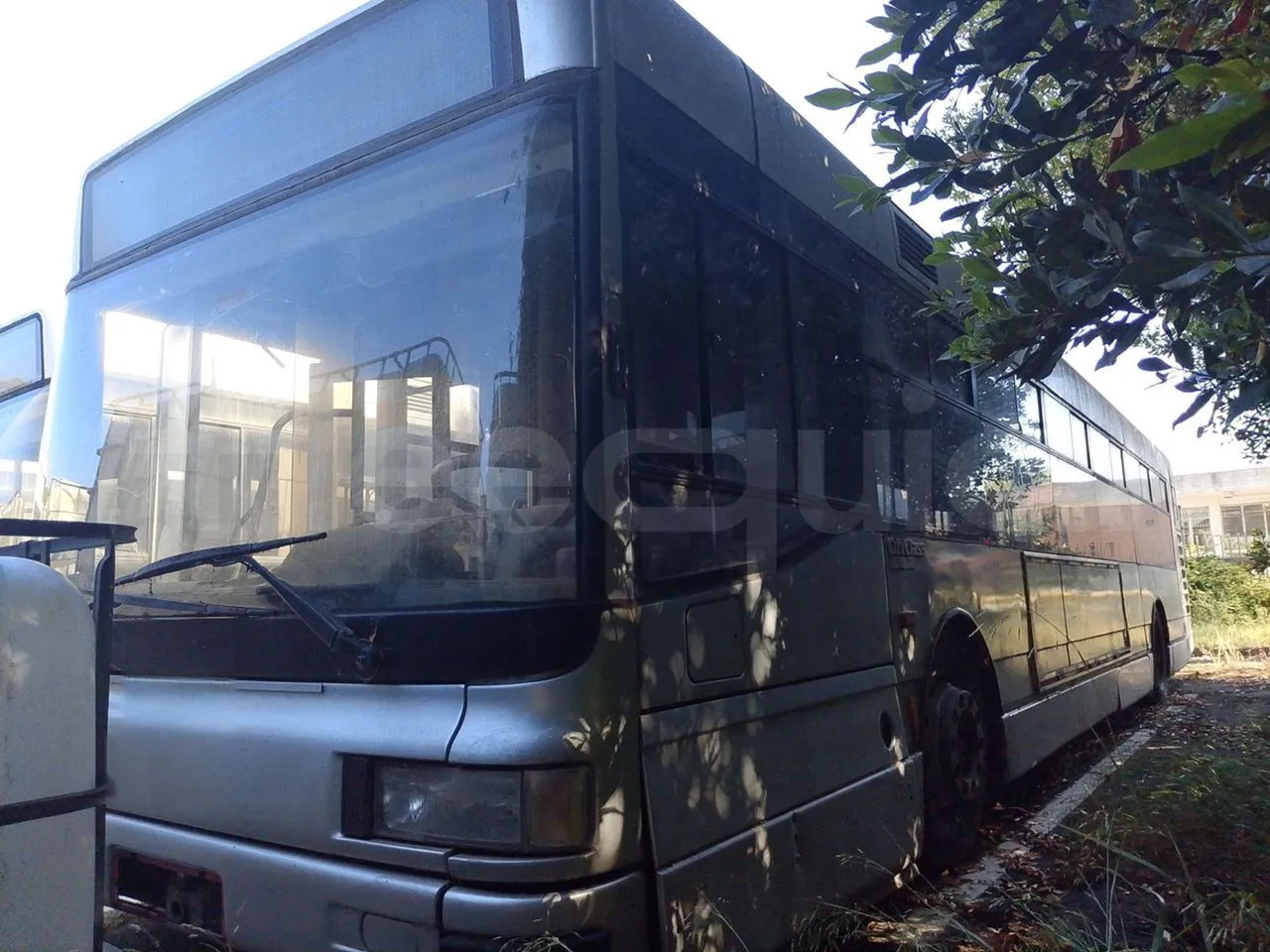 N. 3 Iveco 491/3P - Linienbus: das Bild 3 N. 3 Iveco 491/3P - Linienbus: das Bild 3