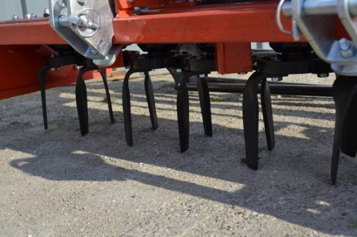 - - - boxer - Egge: das Bild 4 - - - boxer - Egge: das Bild 4