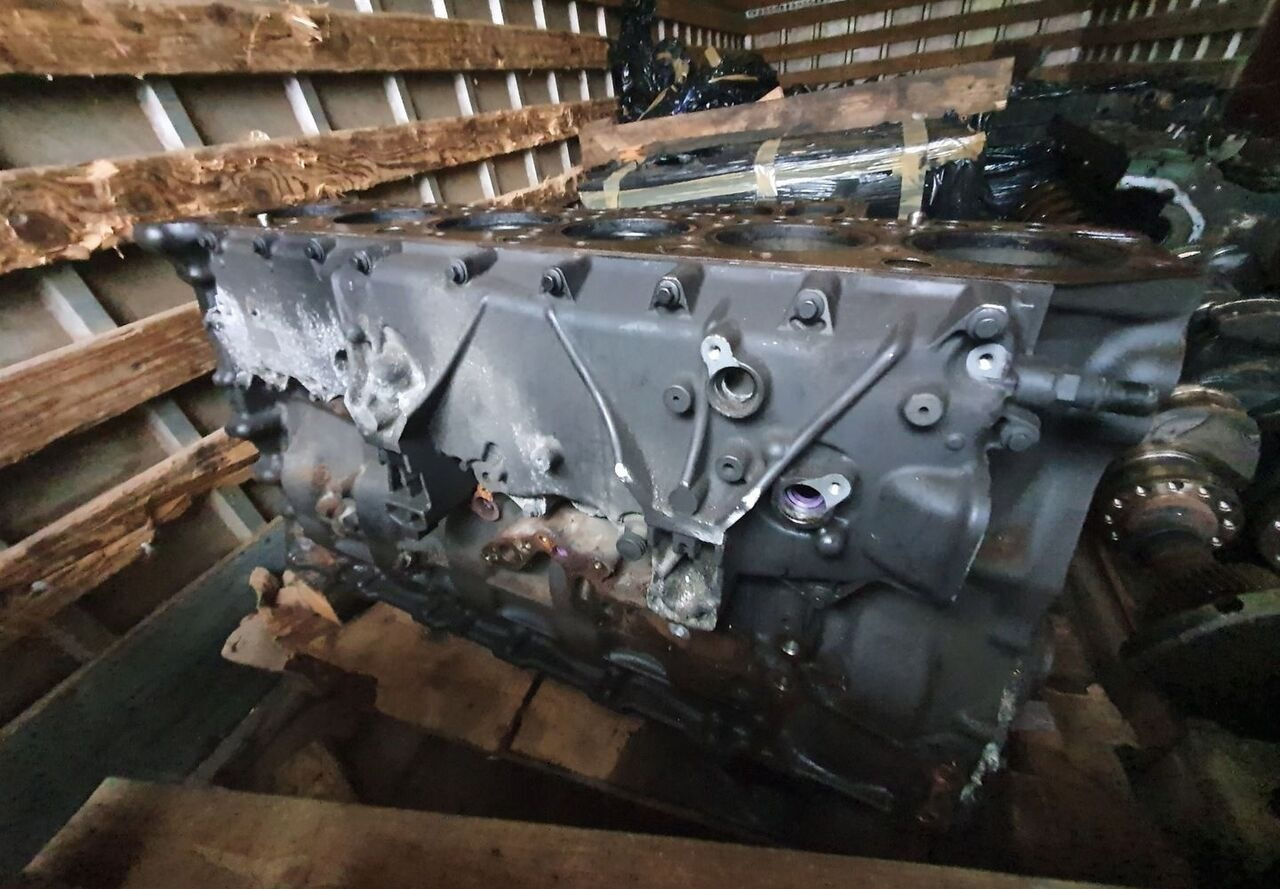 RENAULT BLOK SILNIKA SŁUPEK TŁOKI WAŁ RENAULT GAMA RANGE T DTI11 460 430 - Zylinderblock für LKW: das Bild 1 RENAULT BLOK SILNIKA SŁUPEK TŁOKI WAŁ RENAULT GAMA RANGE T DTI11 460 430 - Zylinderblock für LKW: das Bild 1