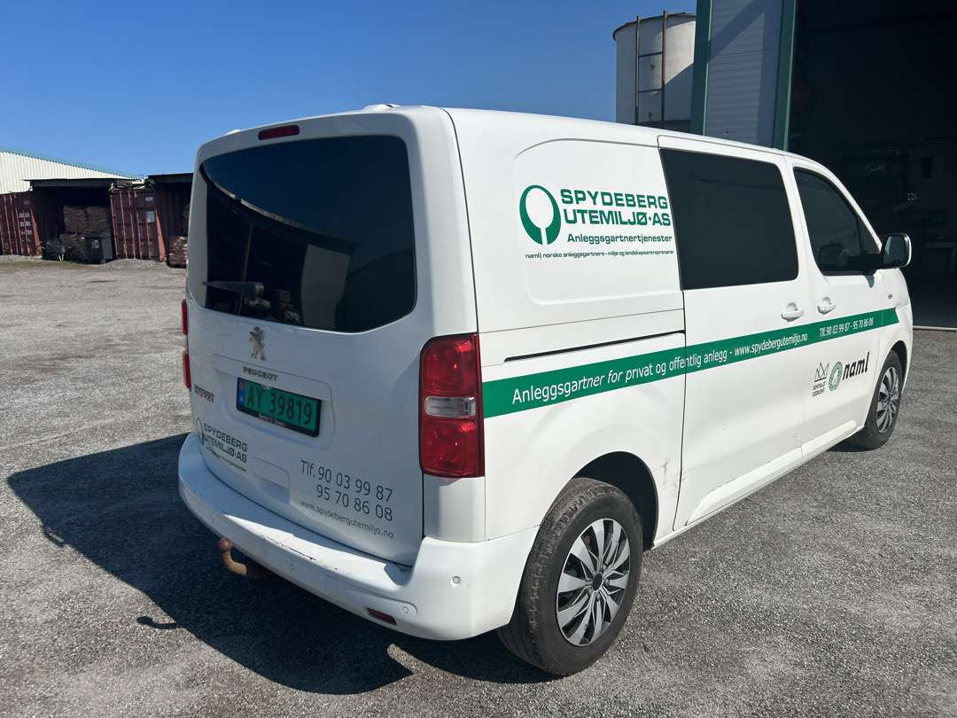 2019 Varebil PEUGEOT EXPERT EU-Godkjent - Kastenwagen: das Bild 3 2019 Varebil PEUGEOT EXPERT EU-Godkjent - Kastenwagen: das Bild 3