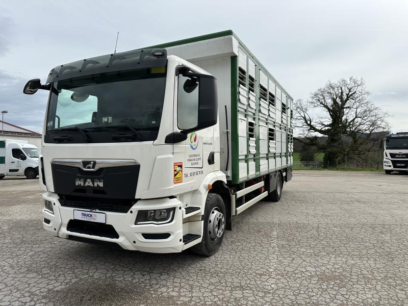 MAN M 90 15.290 TGM - Tiertransporter LKW: das Bild 1 MAN M 90 15.290 TGM - Tiertransporter LKW: das Bild 1