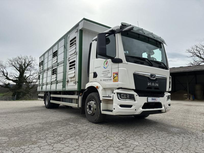 MAN M 90 15.290 TGM - Tiertransporter LKW: das Bild 4 MAN M 90 15.290 TGM - Tiertransporter LKW: das Bild 4