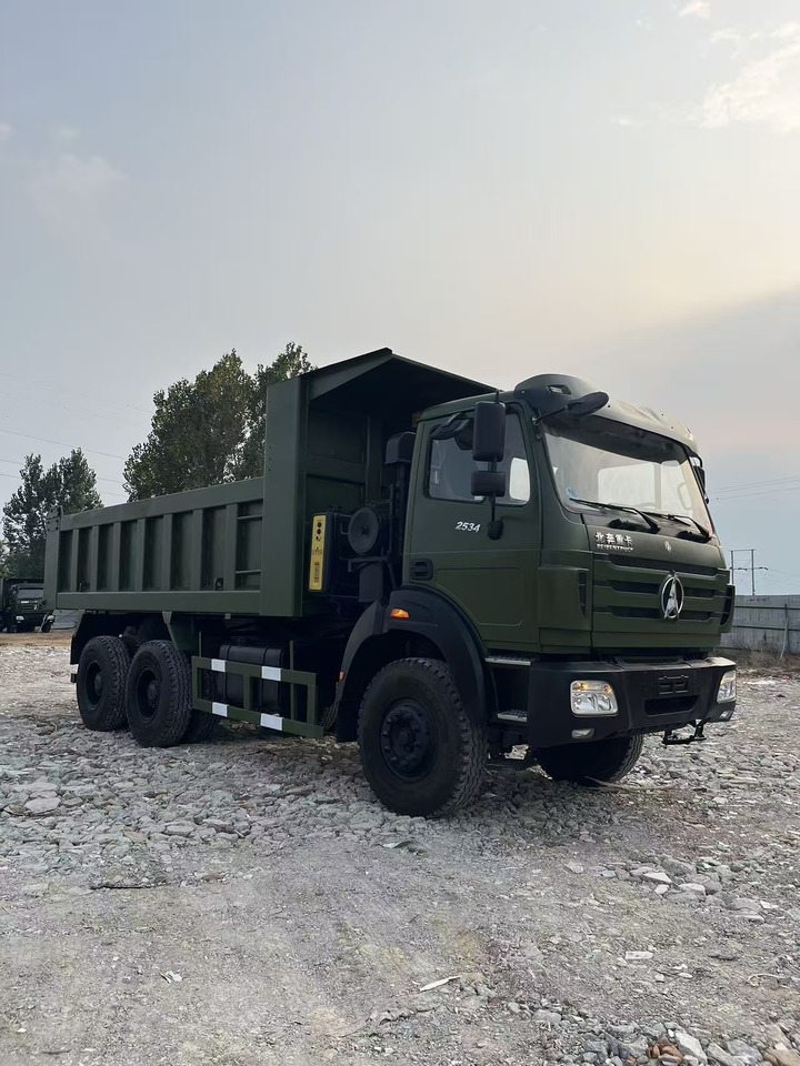 BEIBENTRUCK 2534 - Kipper: das Bild 2 BEIBENTRUCK 2534 - Kipper: das Bild 2