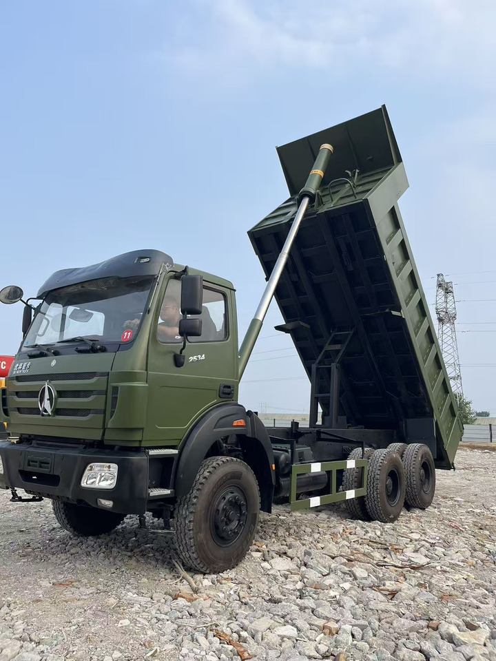 BEIBENTRUCK 2534 - Kipper: das Bild 5 BEIBENTRUCK 2534 - Kipper: das Bild 5