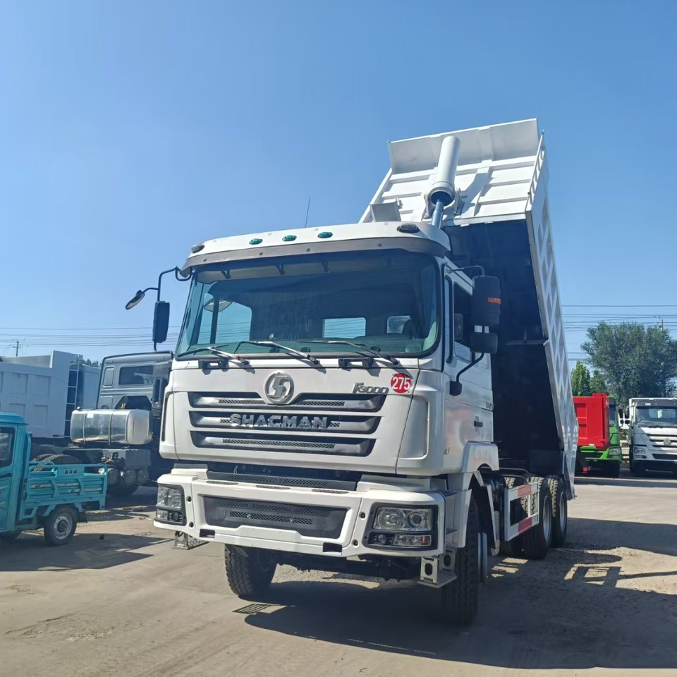 SHACMAN F3000 - Kipper: das Bild 4 SHACMAN F3000 - Kipper: das Bild 4