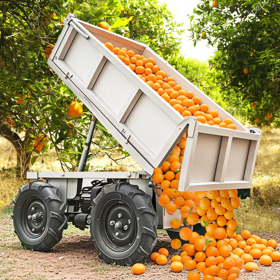 LEZUM Electric Remote Control Transporter Agricultural Orchard Farm Electric Utv Material Handling Equipment All Terrain Transport Vehicle - Quad: das Bild 4 LEZUM Electric Remote Control Transporter Agricultural Orchard Farm Electric Utv Material Handling Equipment All Terrain Transport Vehicle - Quad: das Bild 4