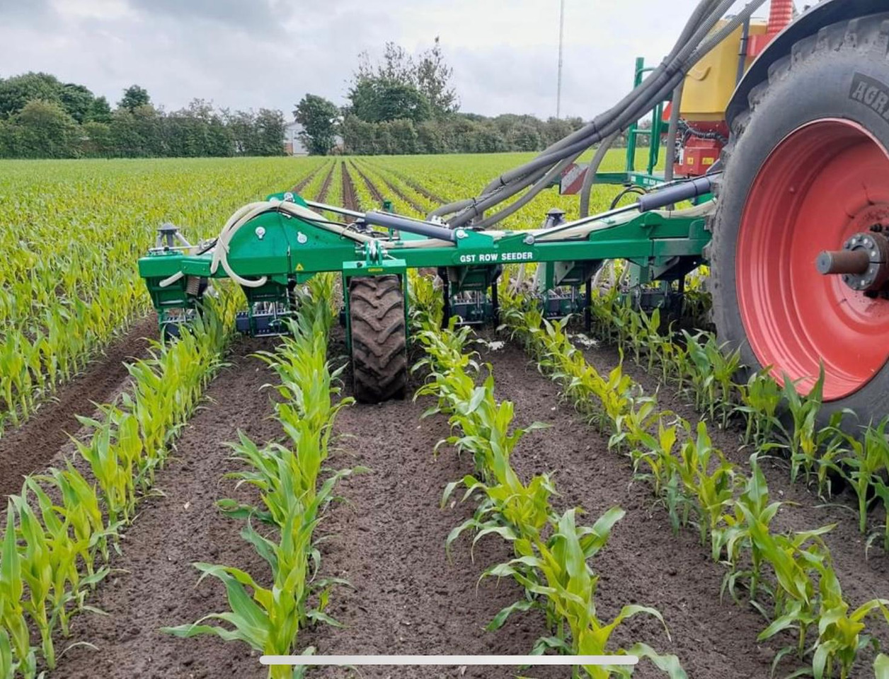 GST ROW SEEDER 12 - Sämaschine: das Bild 2 GST ROW SEEDER 12 - Sämaschine: das Bild 2