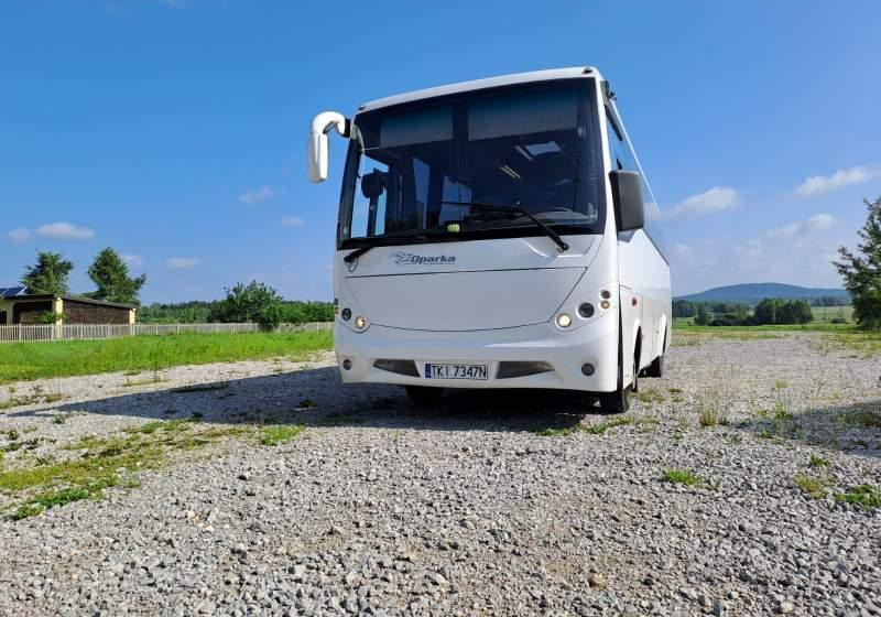 Überlandbus Mercedes-Benz Atego Automet Apollo 38+10: das Bild 19