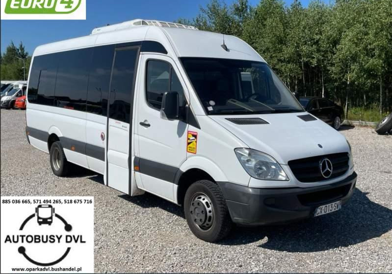 Mercedes-Benz Sprinter 2008 - Kleinbus, Personentransporter: das Bild 1 Mercedes-Benz Sprinter 2008 - Kleinbus, Personentransporter: das Bild 1