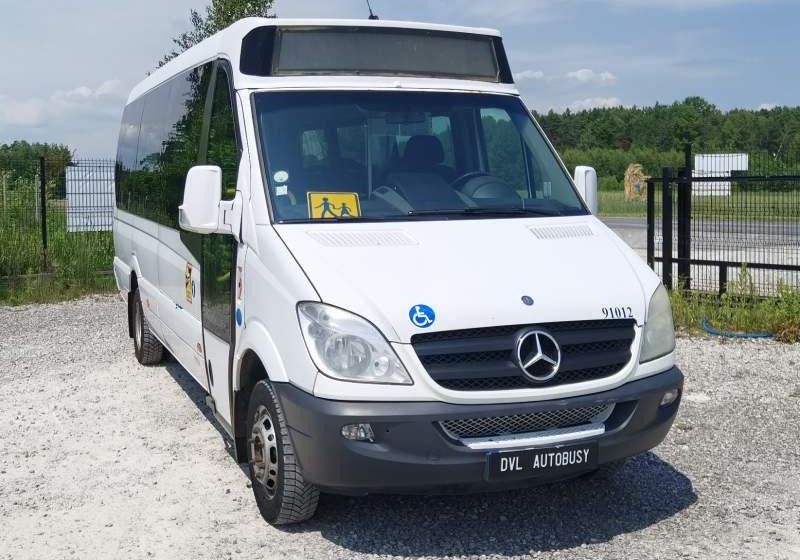 Mercedes-Benz Sprinter *klima*webasto* - Überlandbus: das Bild 2 Mercedes-Benz Sprinter *klima*webasto* - Überlandbus: das Bild 2