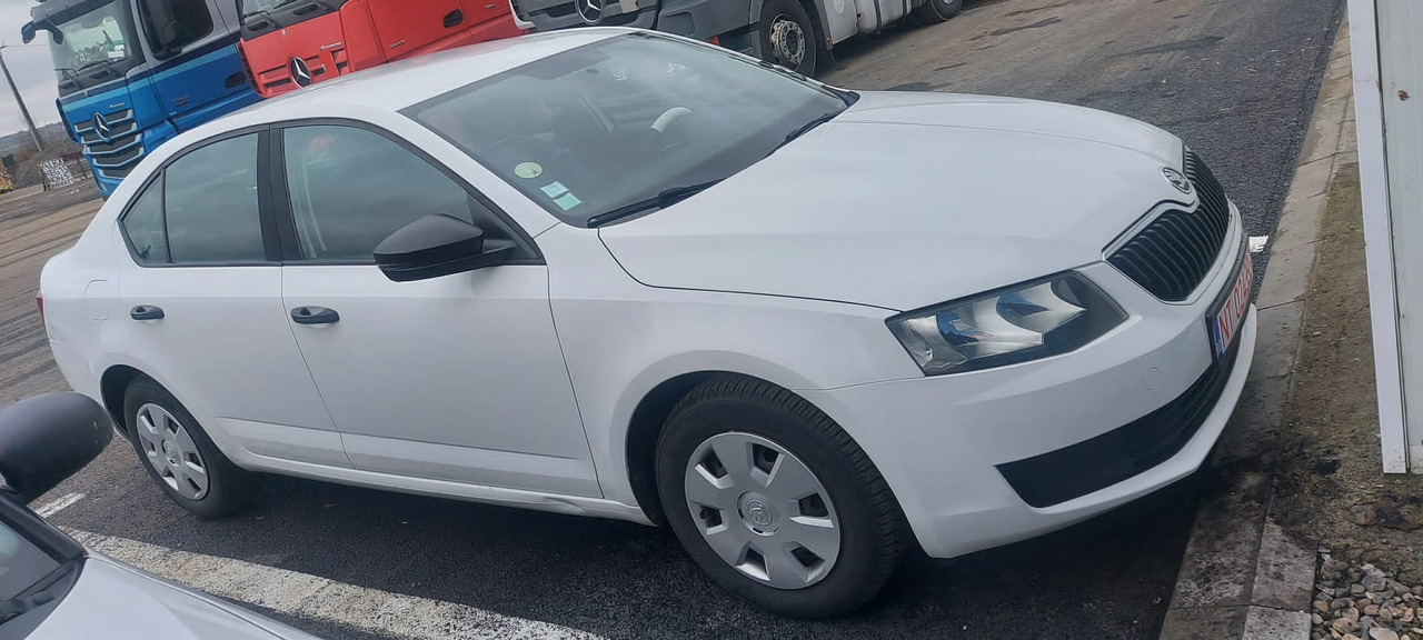 SKODA OCTAVIA - PKW: das Bild 1 SKODA OCTAVIA - PKW: das Bild 1