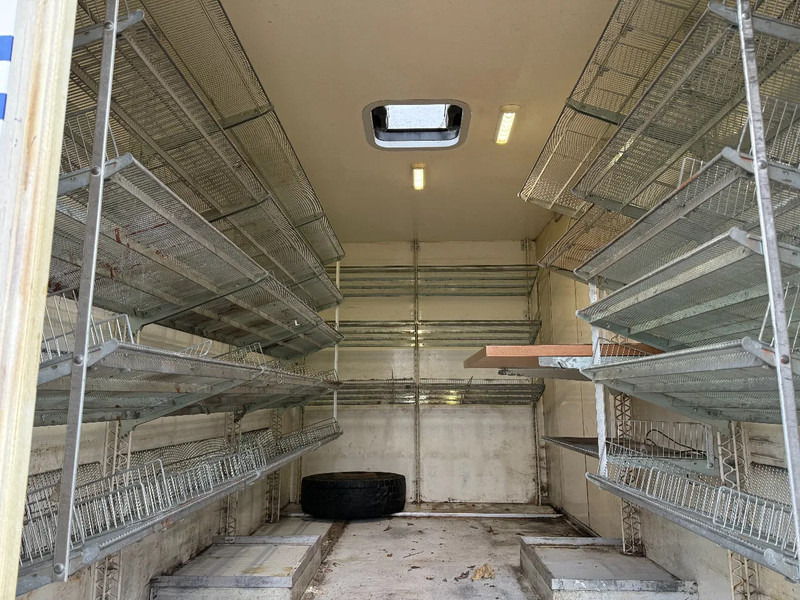 Koffer LKW MAN L20 Bakwagen 4x2 Manual EUR 3 NL TRUCK: das Bild 18