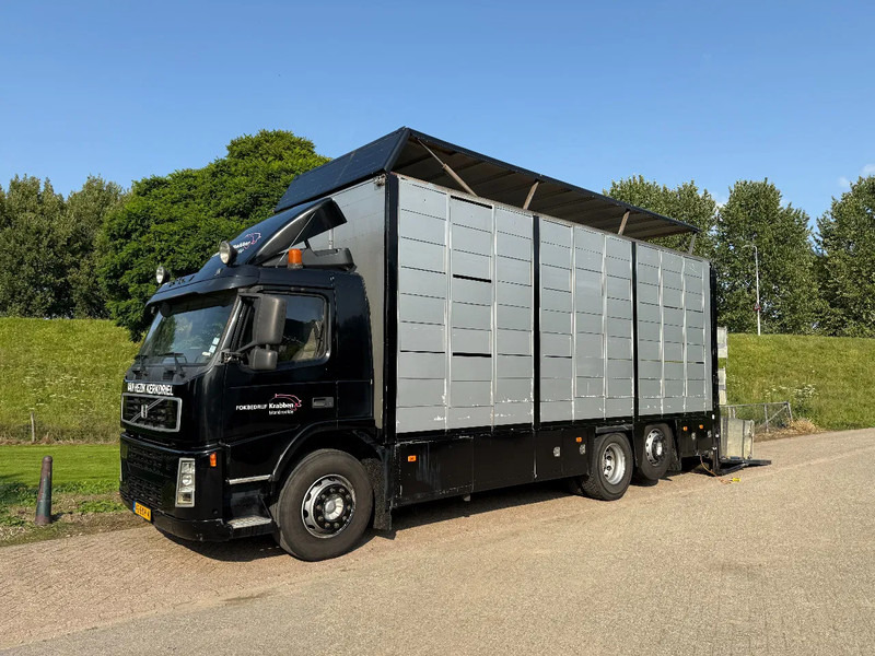 Volvo FM 300 Livestock Cuppers 3 laags 6x2 - Tiertransporter LKW: das Bild 1 Volvo FM 300 Livestock Cuppers 3 laags 6x2 - Tiertransporter LKW: das Bild 1