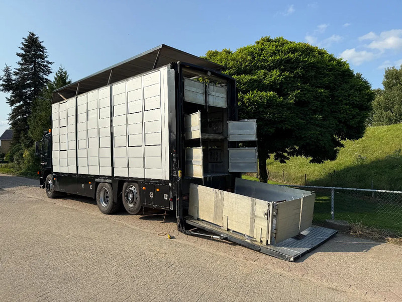 Volvo FM 300 Livestock Cuppers 3 laags 6x2 - Tiertransporter LKW: das Bild 2 Volvo FM 300 Livestock Cuppers 3 laags 6x2 - Tiertransporter LKW: das Bild 2