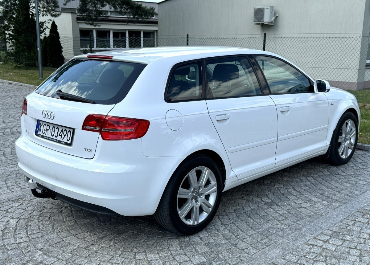 Audi A3 1.6 TDI 105KM Bezwypadkowy potwierdzony przebieg AUTO BARDZO ZADBANE - PKW: das Bild 3 Audi A3 1.6 TDI 105KM Bezwypadkowy potwierdzony przebieg AUTO BARDZO ZADBANE - PKW: das Bild 3