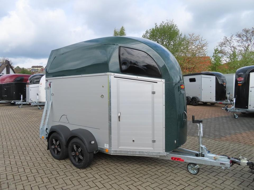 Böckmann Pferdeanhänger Champion R Flügeltür Saka. 100km/h - Pferdeanhänger: das Bild 3 Böckmann Pferdeanhänger Champion R Flügeltür Saka. 100km/h - Pferdeanhänger: das Bild 3