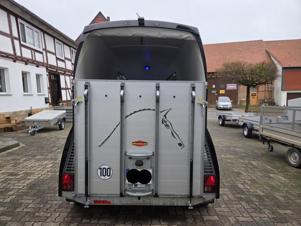 Böckmann Pferdeanhänger Champion R SaKa. WCF-Fahrwerk 100 km/h - Pferdeanhänger: das Bild 3 Böckmann Pferdeanhänger Champion R SaKa. WCF-Fahrwerk 100 km/h - Pferdeanhänger: das Bild 3
