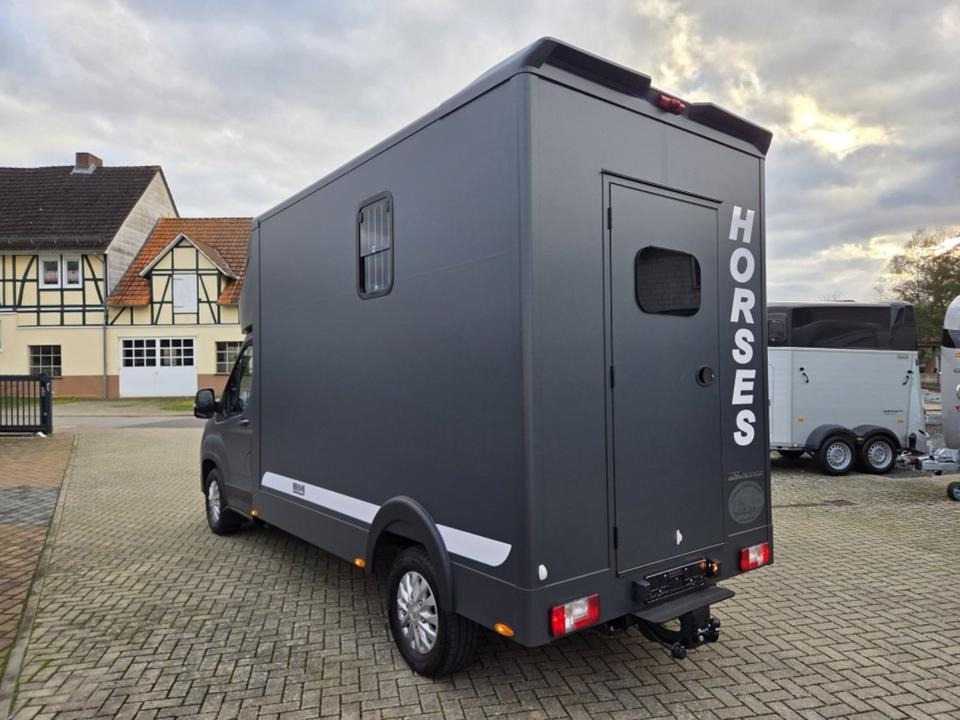 MSG Stablehopper Pferdetransporter Pferdeanhänger Böckmann - Pferdetransporter: das Bild 4 MSG Stablehopper Pferdetransporter Pferdeanhänger Böckmann - Pferdetransporter: das Bild 4