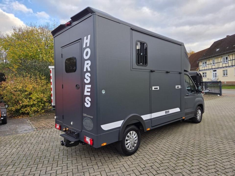 MSG Stablehopper Pferdetransporter Pferdeanhänger Böckmann - Pferdetransporter: das Bild 3 MSG Stablehopper Pferdetransporter Pferdeanhänger Böckmann - Pferdetransporter: das Bild 3