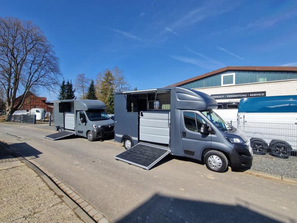 MSG Stablehopper Pferdetransporter Pferdeanhänger Böckmann - Pferdetransporter: das Bild 1 MSG Stablehopper Pferdetransporter Pferdeanhänger Böckmann - Pferdetransporter: das Bild 1