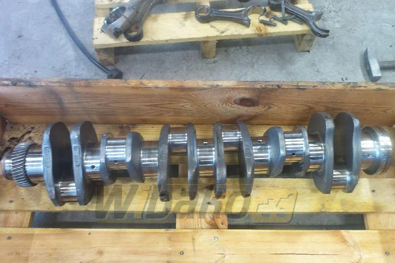 Case 6T-830 - Kurbelwelle für Baumaschine: das Bild 1 Case 6T-830 - Kurbelwelle für Baumaschine: das Bild 1