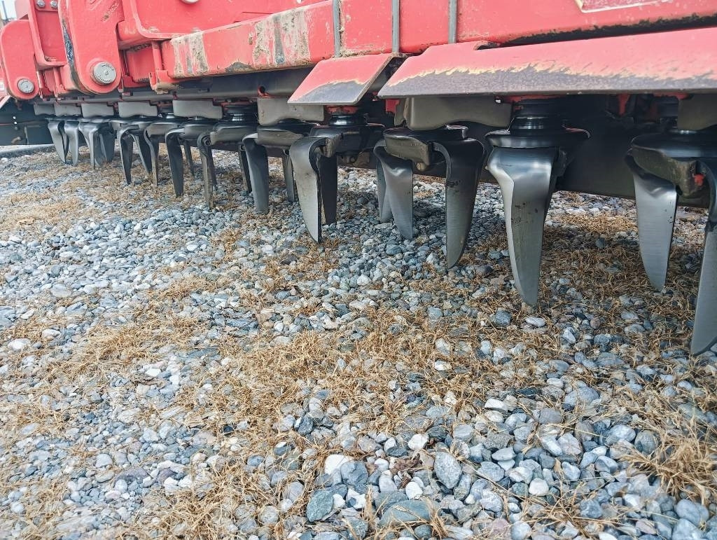Maschio DMR 4000 - Egge: das Bild 2 Maschio DMR 4000 - Egge: das Bild 2