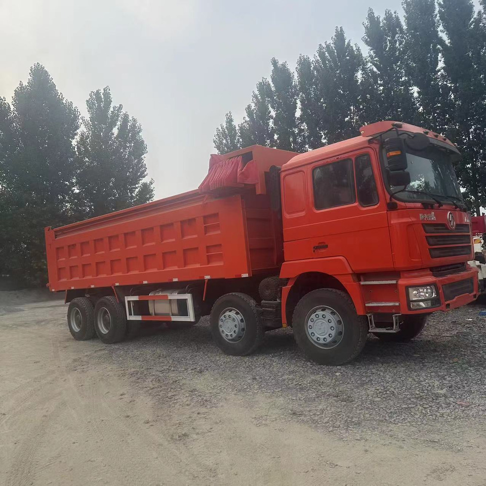 SHACMAN F3000 Dump Truck With Tarpaulins Click Here for Discount - Kipper: das Bild 2 SHACMAN F3000 Dump Truck With Tarpaulins Click Here for Discount - Kipper: das Bild 2