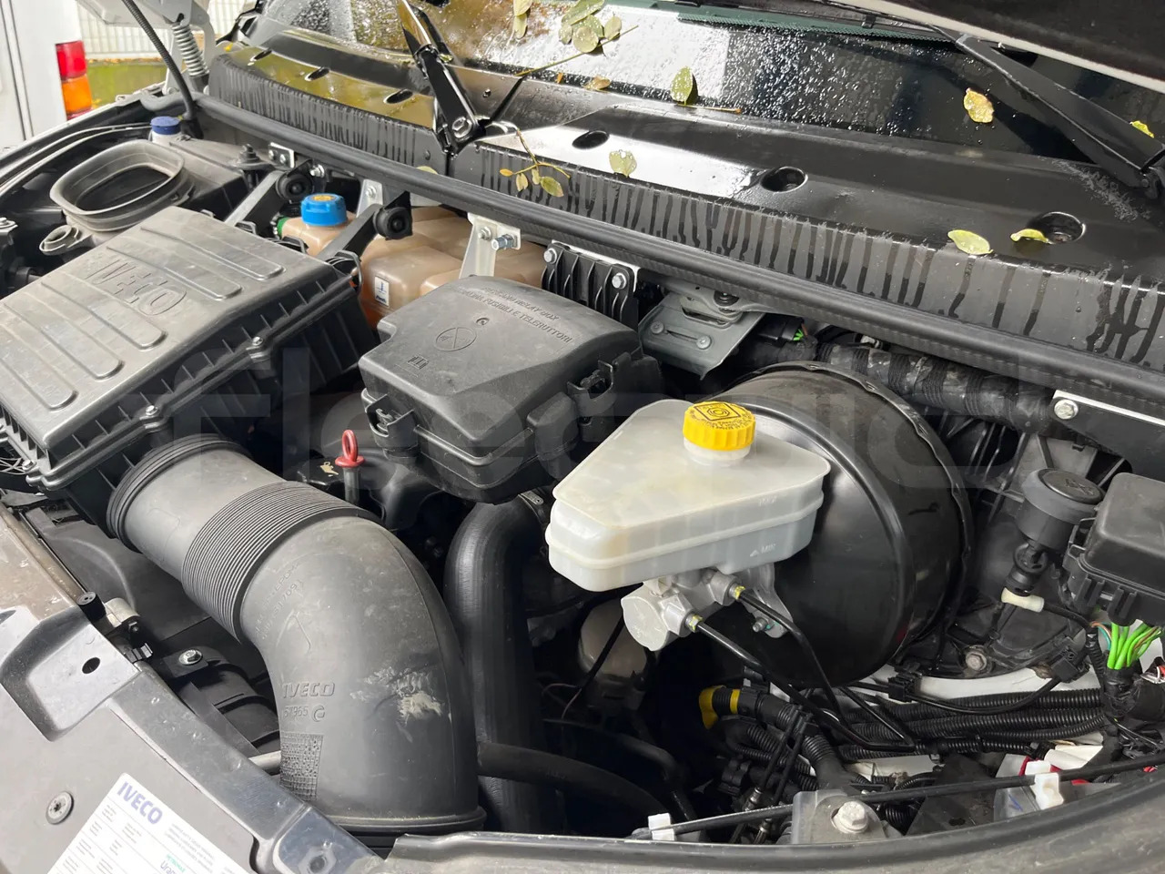 Überlandbus Iveco Daily: das Bild 16