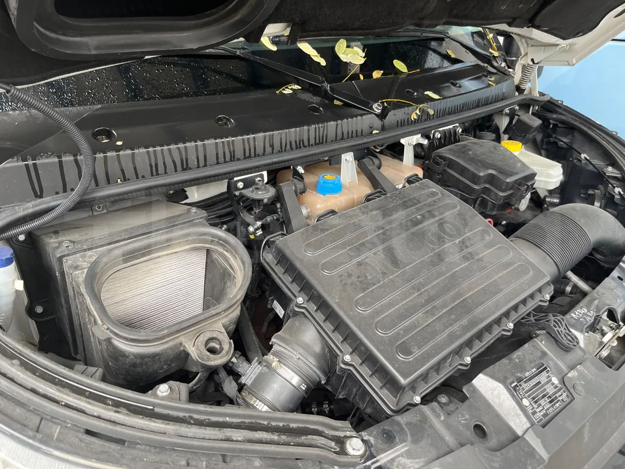 Überlandbus Iveco Daily: das Bild 17