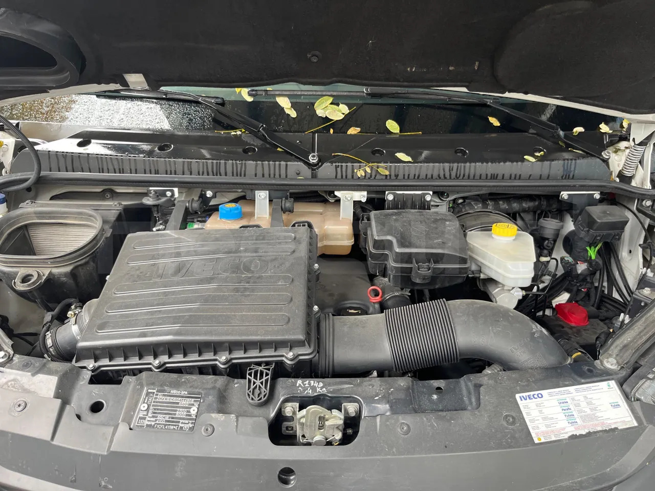 Überlandbus Iveco Daily: das Bild 15