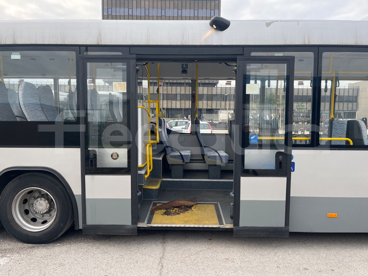Überlandbus Man Lion's Classic: das Bild 13