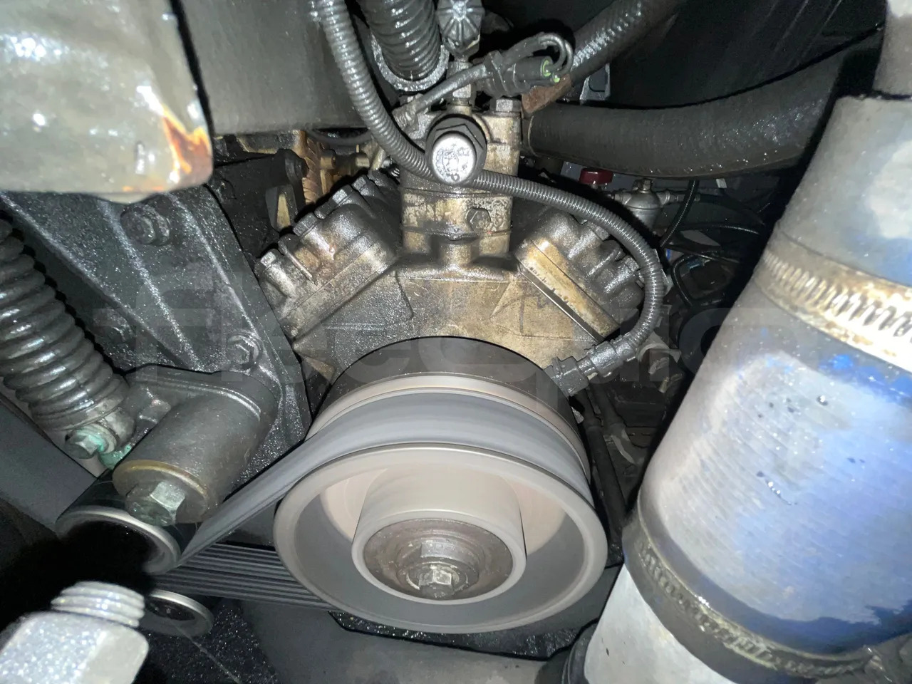 Überlandbus Man Lion's Regio L: das Bild 19 Überlandbus Man Lion's Regio L: das Bild 19