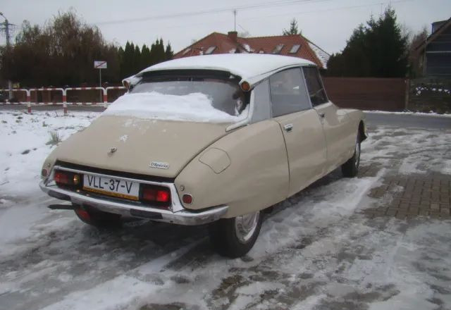Limousine Citroën DS: das Bild 6