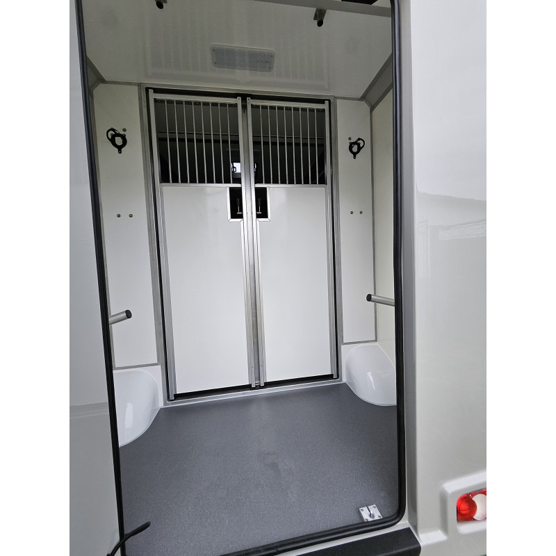 Opel Movano AKX by Stephex - Pferdetransporter: das Bild 4 Opel Movano AKX by Stephex - Pferdetransporter: das Bild 4