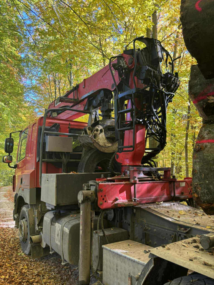 DAF CF510 - Holztransporter, Autokran: das Bild 2 DAF CF510 - Holztransporter, Autokran: das Bild 2