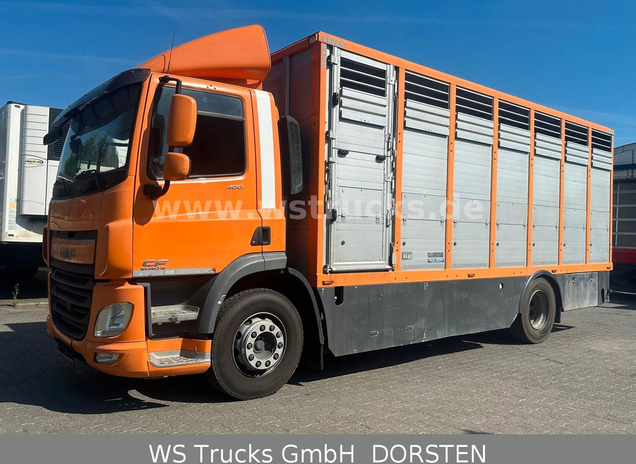 DAF CF 400 Menke Einstock - Pferdetransporter: das Bild 2 DAF CF 400 Menke Einstock - Pferdetransporter: das Bild 2