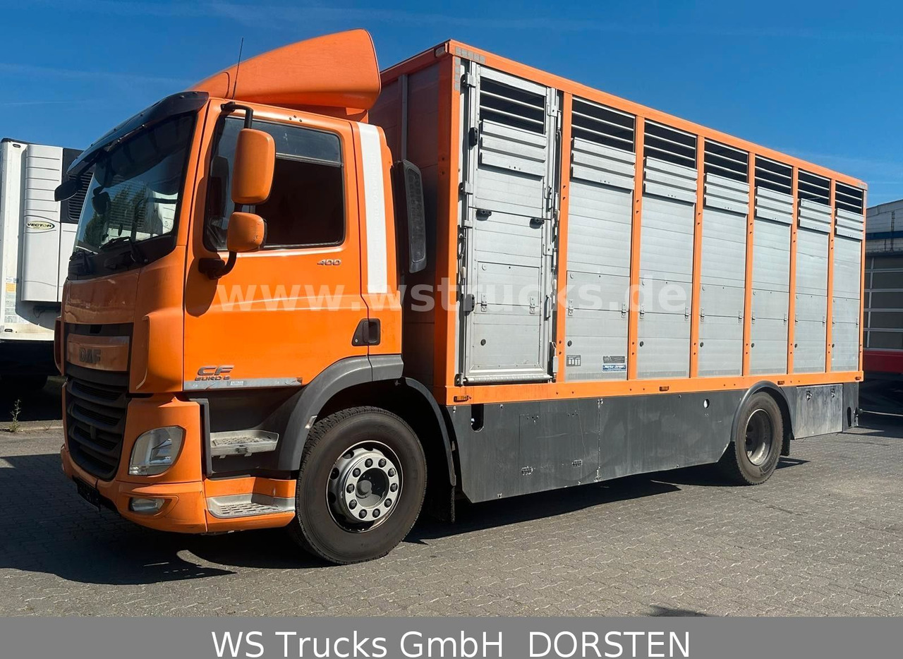 DAF CF 400 Menke Einstock - Pferdetransporter: das Bild 1 DAF CF 400 Menke Einstock - Pferdetransporter: das Bild 1