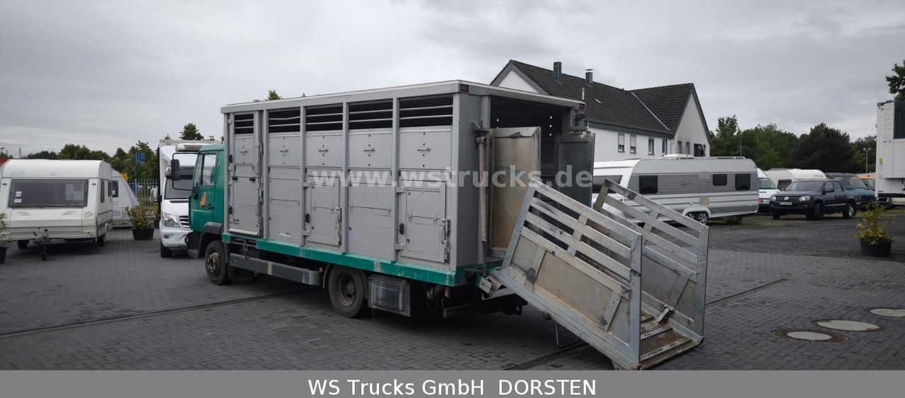 MAN LE 8.220 Menke Einstock Großvieh - Tiertransporter LKW: das Bild 3 MAN LE 8.220 Menke Einstock Großvieh - Tiertransporter LKW: das Bild 3