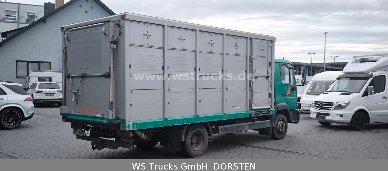 MAN LE 8.220 Menke Einstock Großvieh - Tiertransporter LKW: das Bild 5 MAN LE 8.220 Menke Einstock Großvieh - Tiertransporter LKW: das Bild 5