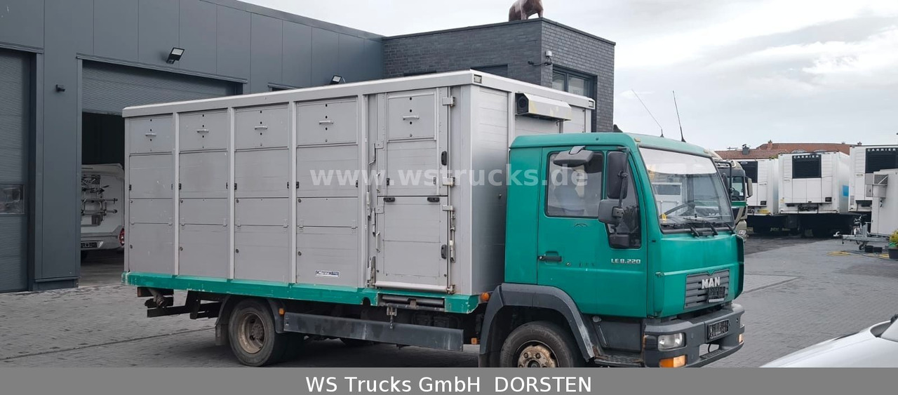 MAN LE 8.220 Menke Einstock Großvieh - Tiertransporter LKW: das Bild 2 MAN LE 8.220 Menke Einstock Großvieh - Tiertransporter LKW: das Bild 2