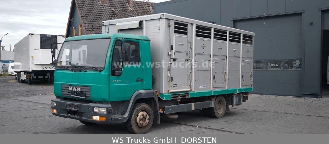 MAN LE 8.220 Menke Einstock Großvieh - Tiertransporter LKW: das Bild 1 MAN LE 8.220 Menke Einstock Großvieh - Tiertransporter LKW: das Bild 1