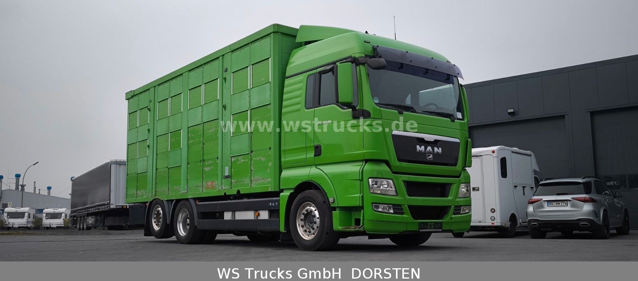 MAN TGX 26.480 XL KABA 3 Stock Vollalu - Pferdetransporter: das Bild 4 MAN TGX 26.480 XL KABA 3 Stock Vollalu - Pferdetransporter: das Bild 4