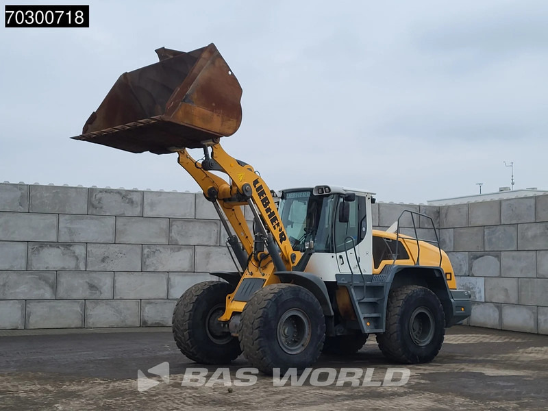 Liebherr L550 - Radlader: das Bild 2 Liebherr L550 - Radlader: das Bild 2