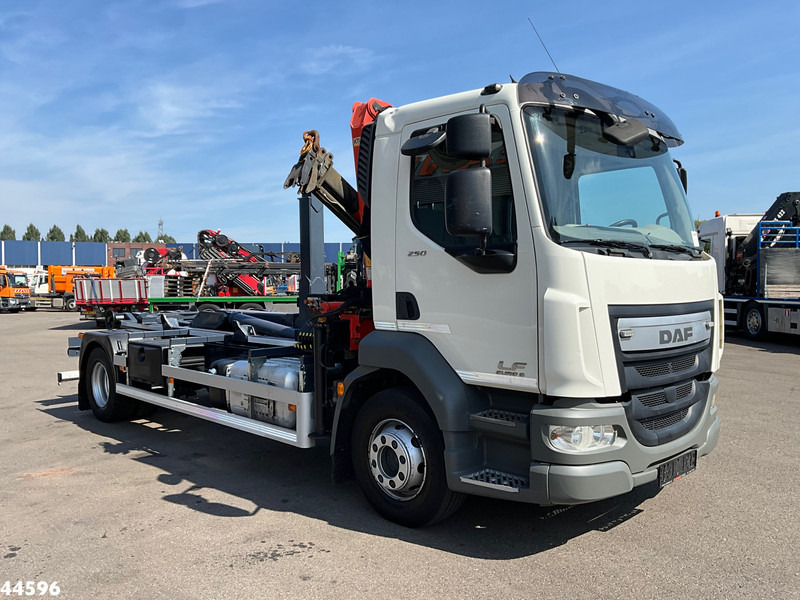 DAF FA LF 250 Euro 6 Palfinger 6,5 Tonmeter laadkraan - Abrollkipper, Autokran: das Bild 3 DAF FA LF 250 Euro 6 Palfinger 6,5 Tonmeter laadkraan - Abrollkipper, Autokran: das Bild 3