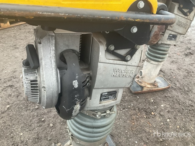 2020 Wacker Neuson BS50-2plus Jumping Jack Tamper Jumping Jack Tamper - Stampfer: das Bild 5 2020 Wacker Neuson BS50-2plus Jumping Jack Tamper Jumping Jack Tamper - Stampfer: das Bild 5