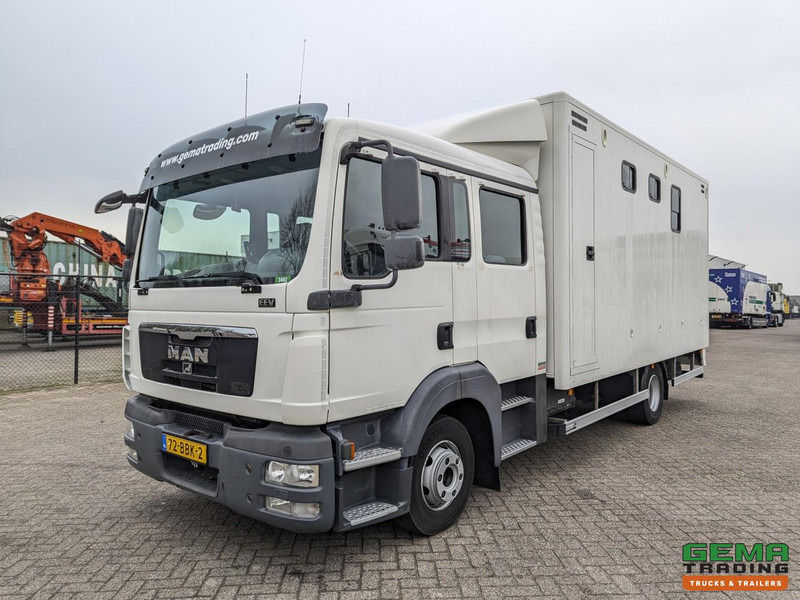 MAN TGL 12.180 4x2 DoKa 7 pers. Euro5 EEV - Paardenwagen 2-Paards - 147.000km! - MARGE - Pferdetransporter: das Bild 3 MAN TGL 12.180 4x2 DoKa 7 pers. Euro5 EEV - Paardenwagen 2-Paards - 147.000km! - MARGE - Pferdetransporter: das Bild 3