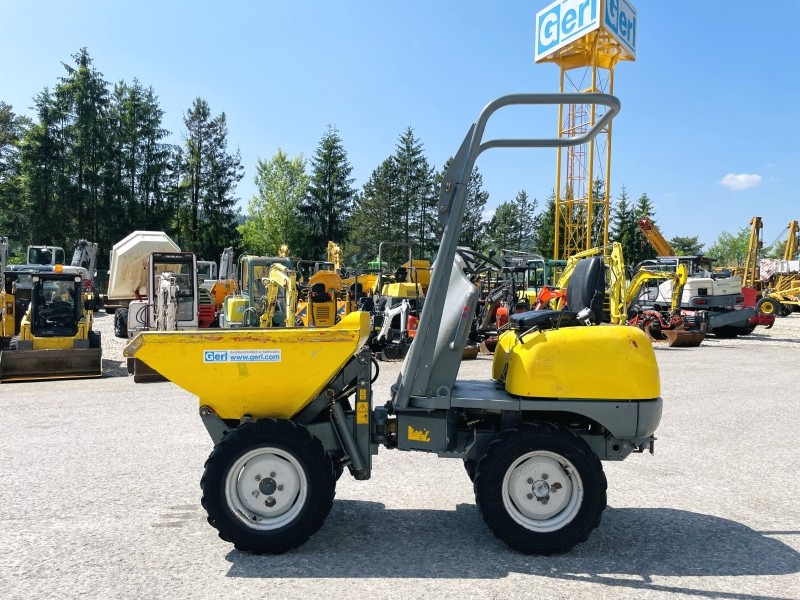 Neuson 1001 (3631) - Mini-Kipper: das Bild 1 Neuson 1001 (3631) - Mini-Kipper: das Bild 1