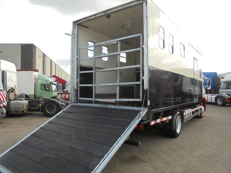 Containerwagen/ Wechselfahrgestell LKW Volvo FM 9.310 + Euro 5 + Manual + Horse transport: das Bild 14