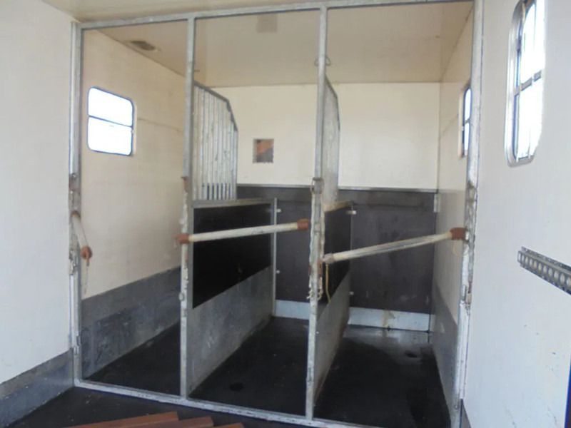 Containerwagen/ Wechselfahrgestell LKW Volvo FM 9.310 + Euro 5 + Manual + Horse transport: das Bild 15