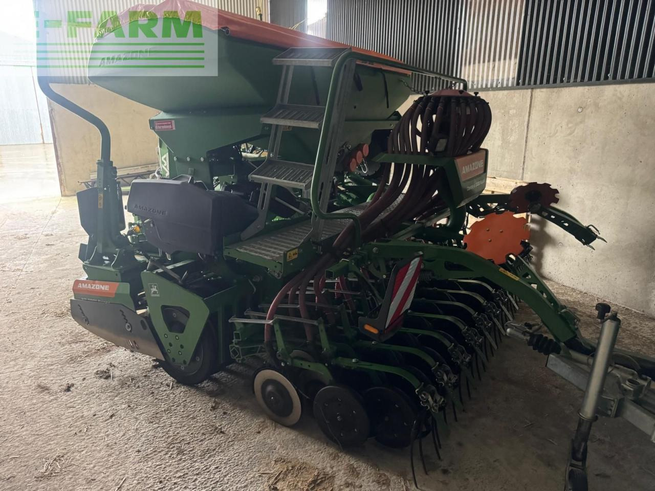 Amazone centaya - Säkombination: das Bild 4 Amazone centaya - Säkombination: das Bild 4